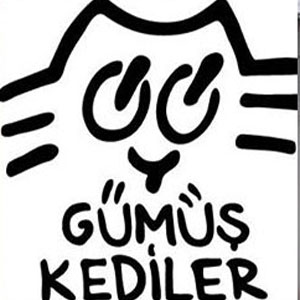 Gümüş Kediler