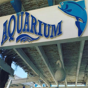 Aquarium Balık Restaurant