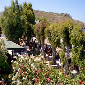 Arriba restaurant; Arriba apart; arriba pansiyon; arriba bungalov; Gümüşlük restaurant