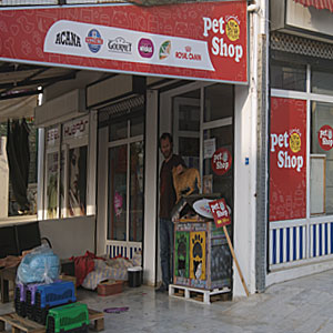 Gümüşlük Pet Shop; Pet Shop; Gümüşlük; Bodrum