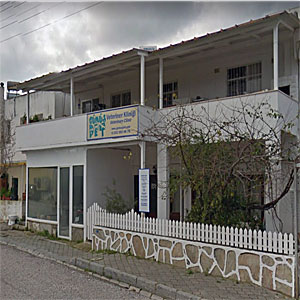 Gümüş Pet Veteriner Kliniği; Veteriner; Hamide Güler Akın; Veteriner Hekim; Gümüşlük; Bodrum