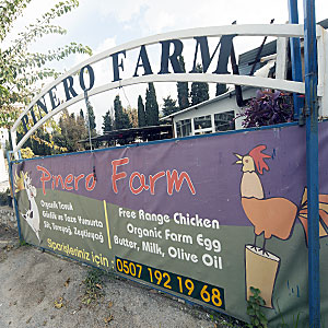 Gümüşlük yağ, süt, yumurta; Organik tarım; Pinero Farm