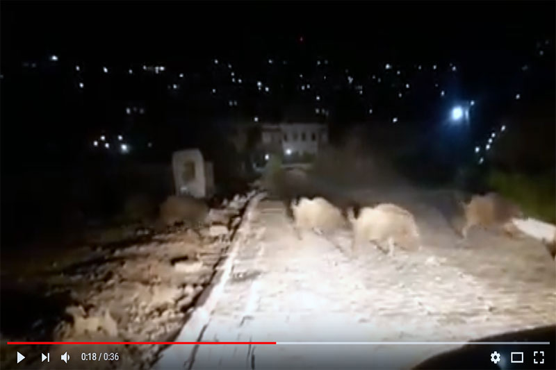 Bodrum haberleri; Bodrum haber 1