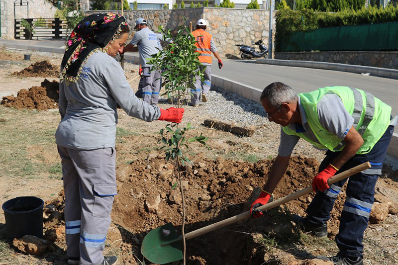 Bodrum haberleri; Bodrum haber 1