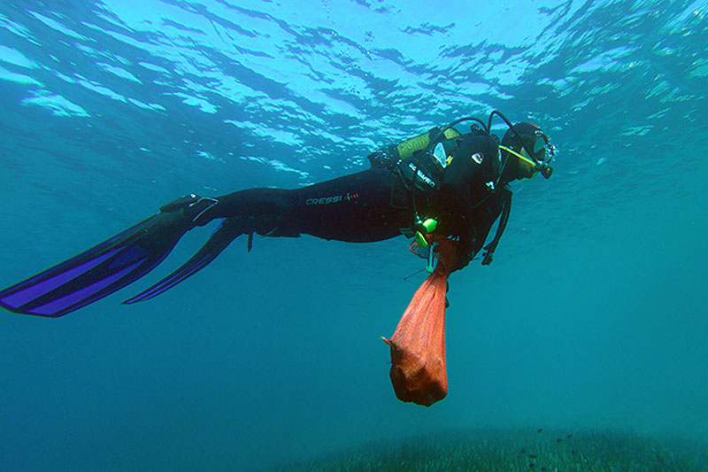 Bodrum haberleri; Bodrum haber 1