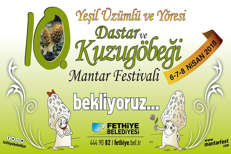 Dastar ve Kuzugöbeği Mantar Festivali 2