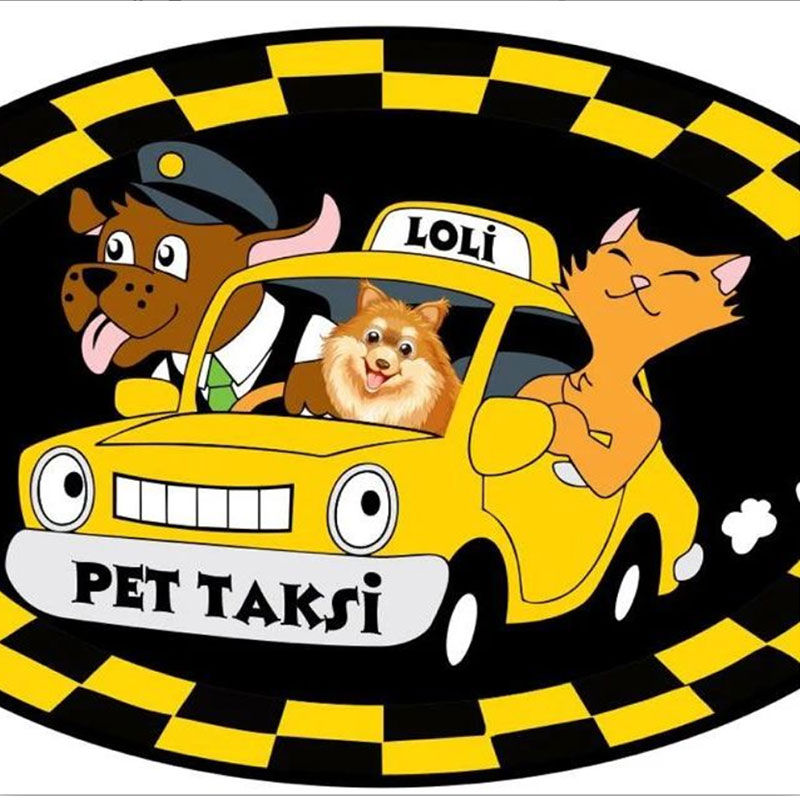Loli Pet Taksi 1
