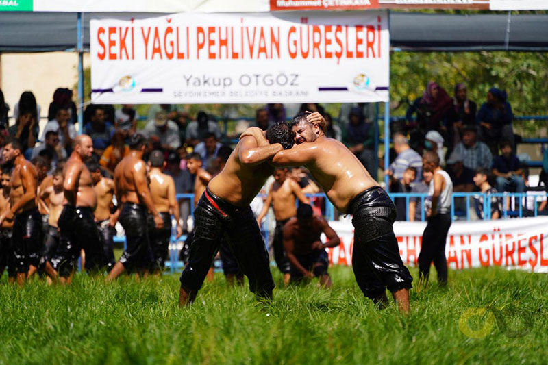 29. Geleneksel Yayla Seki Yağlı Güreşleri 4