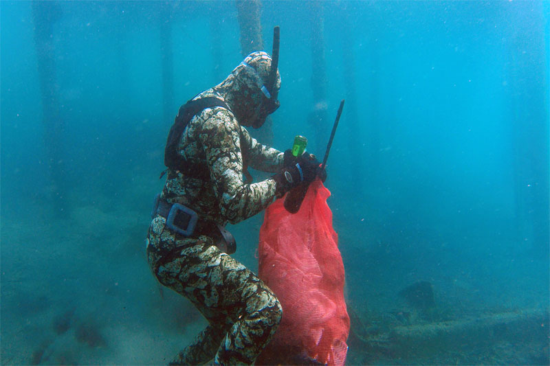 Denize En Çok Mavi Yakışır 3
