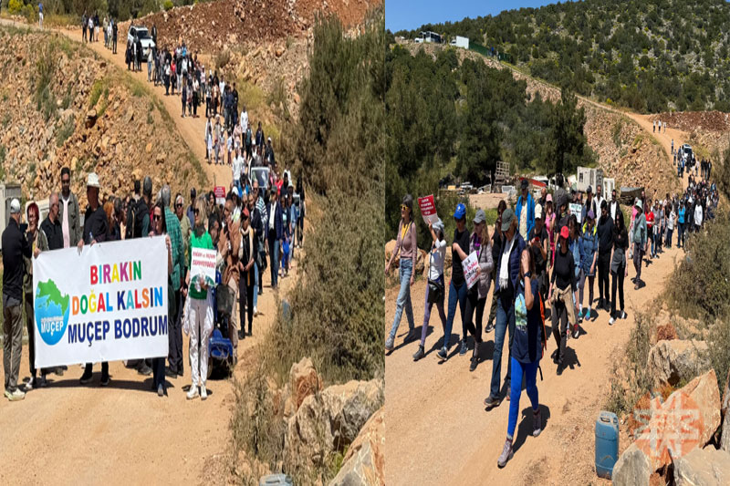 "We are exposing crimes committed against the city" march