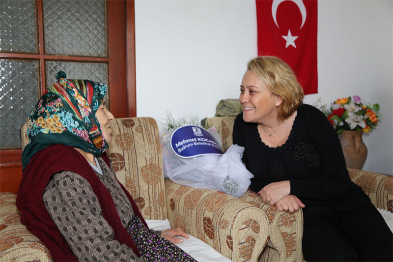 Bodrum’u Bodrum yapan çınarlar