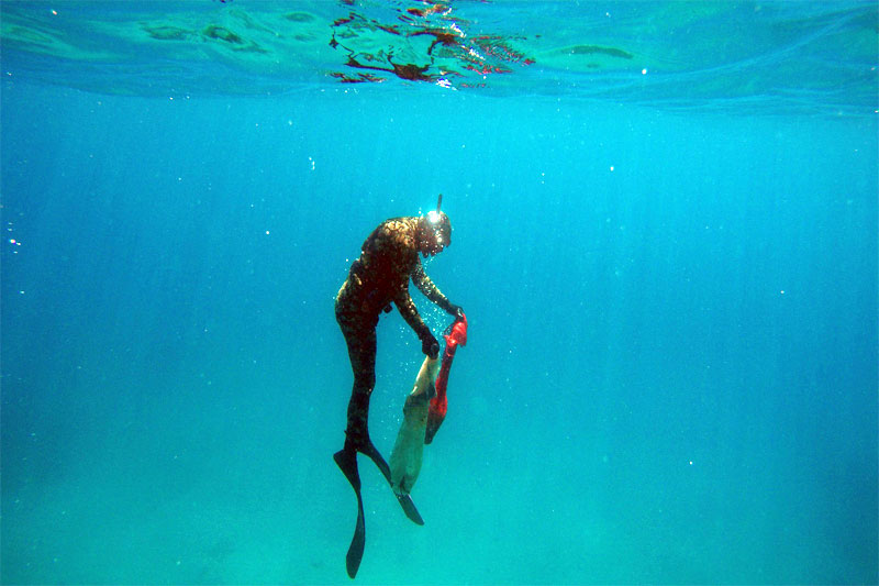 Adaboğazı Koyu tertemiz 2