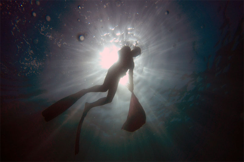 Yalıkavak Koyu deniz dibi temizliği 3