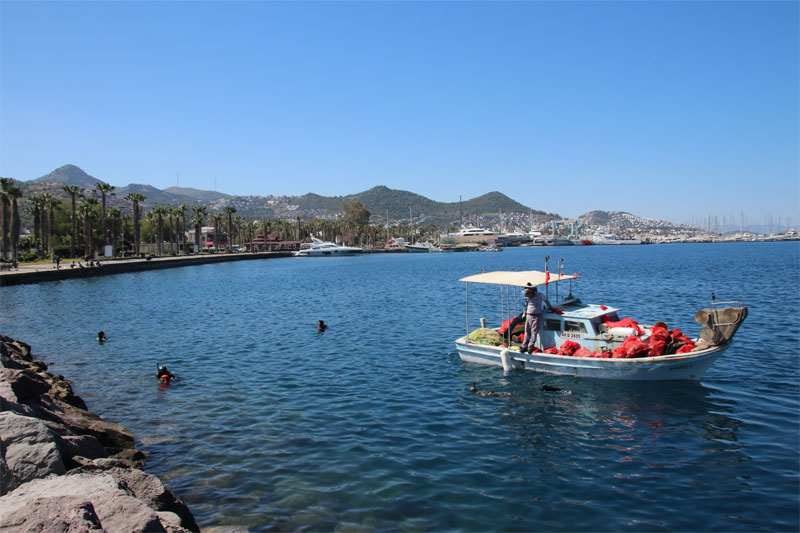 Yalıkavak Koyu deniz dibi temizliği 4