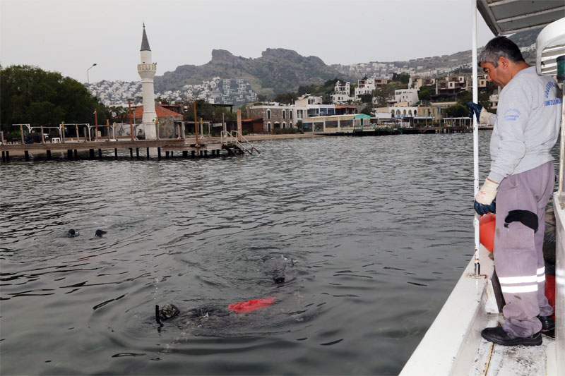 Denize En Çok Mavi Yakışır 3