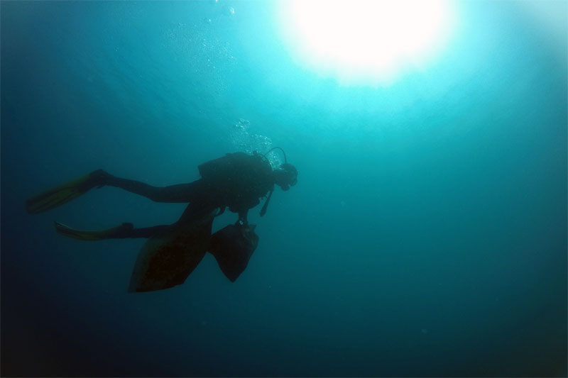 Bodrum Belediyesi Deniz Dibi Temizlik Çalışmaları 4