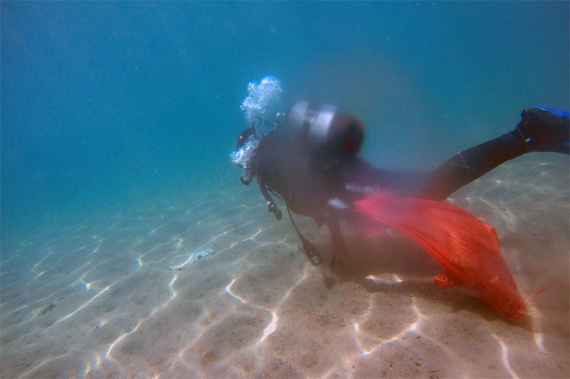 Bitez'de deniz dibi temizliği 2