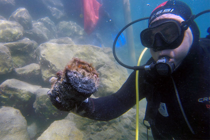 Dalış ekibi bu hafta Torba’yı temizledi 3