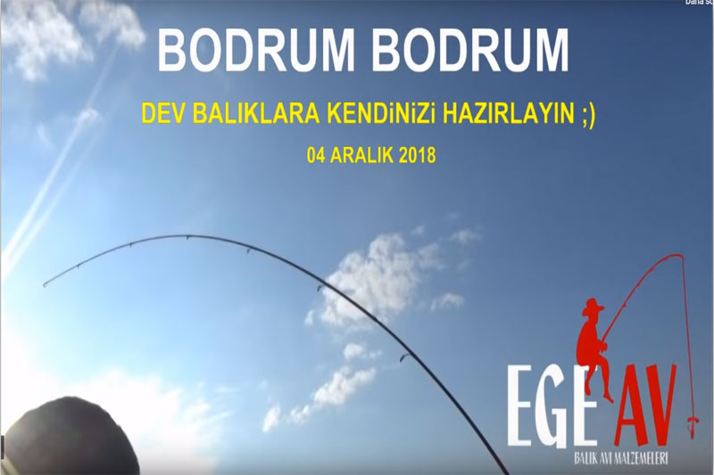 Bodrum'da çupra ve levrek avlamanın tam zamanı | Bodrum Haber