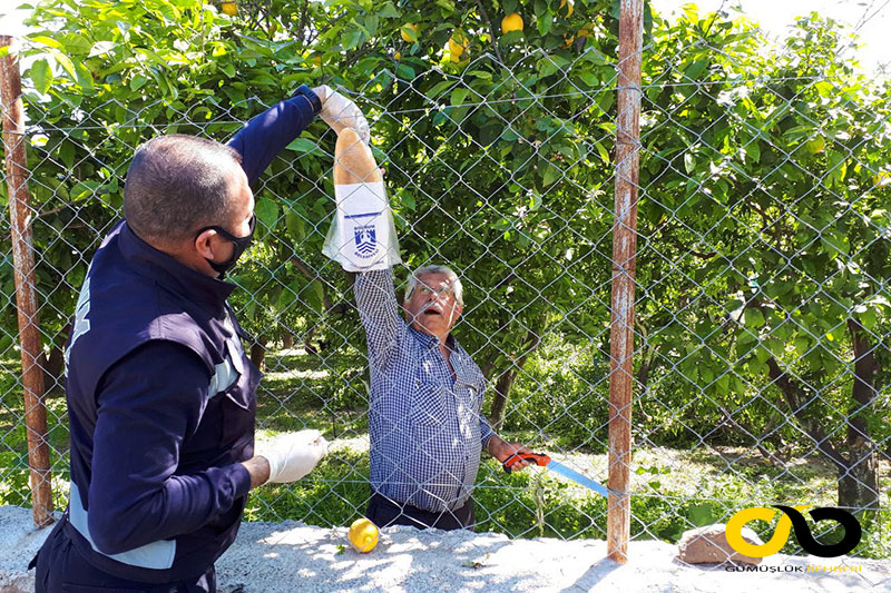 Bodrum Belediyesi sokak sokak sokakta 5