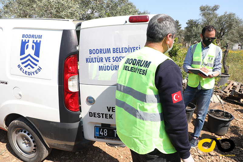 Bodrum Belediyesi yumurta dağıtacak 5