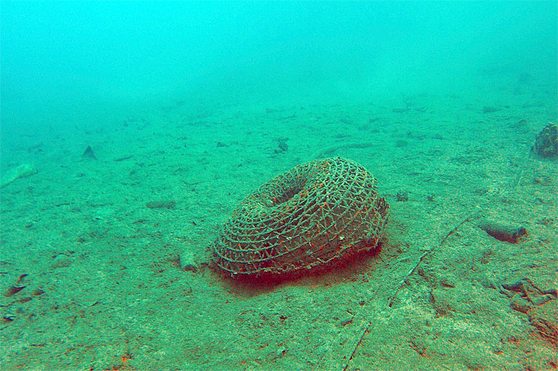Deniz dibi temizliği Bitez'de devam etti 7