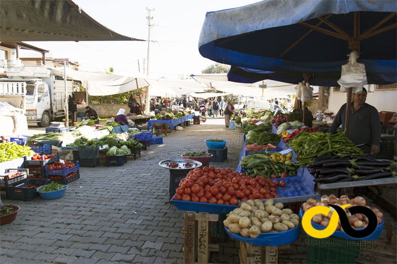 Bodrum haberleri; Bodrum haber 1