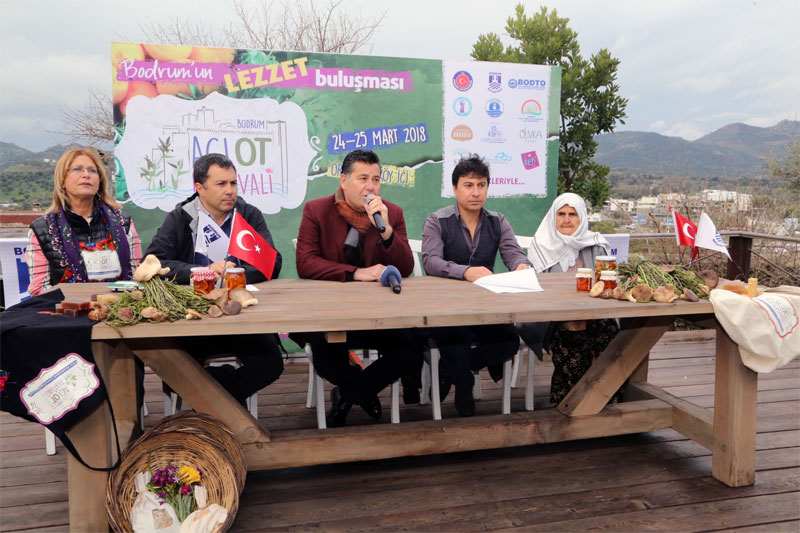 Bodrum Acı Ot Festivali  5