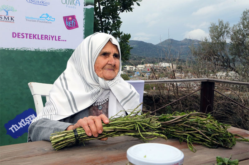 Bodrum Acı Ot Festivali  6