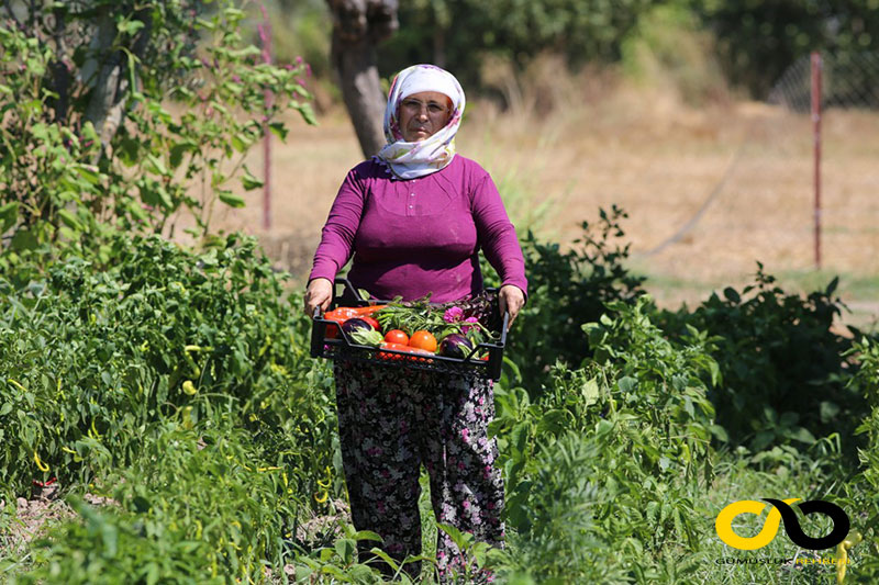 Bodrum Üretici Pazarları 3