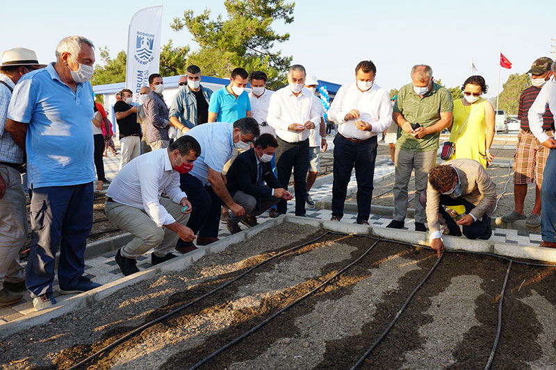 Bodrum Tarım AR-GE ve Yerel Tohum Merkezi 1