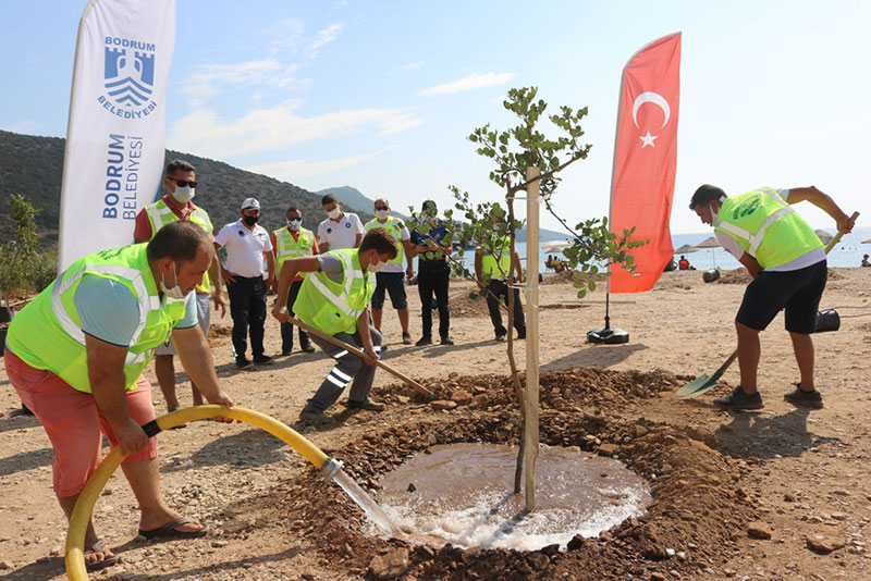 Bodrum’da Doğa Kazanacak 5