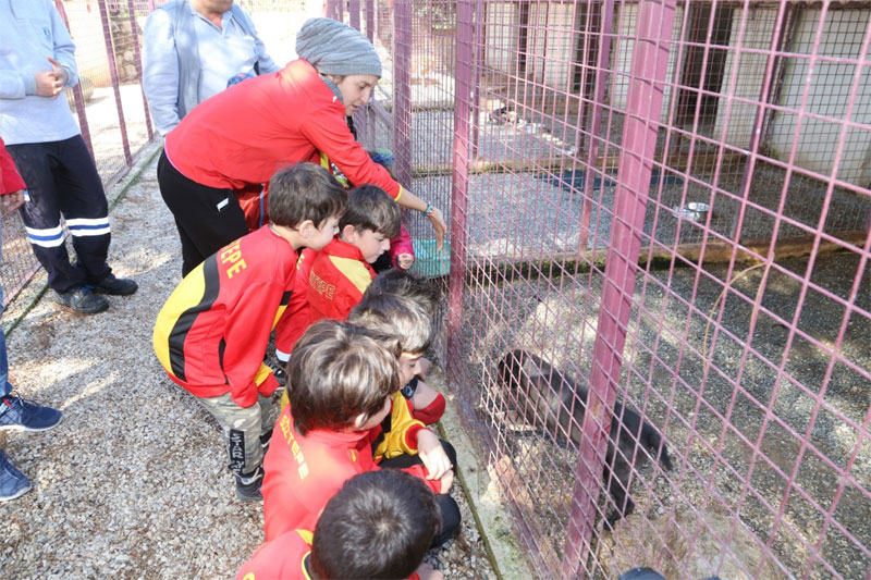 Bodrum, Minik sporculardan barınağa ziyaret 6