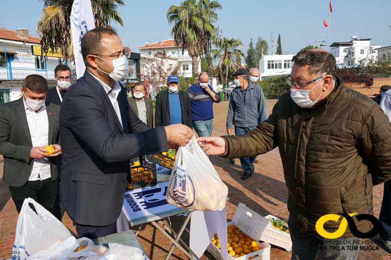 Bodrum Belediyesi mandalina dağıttı