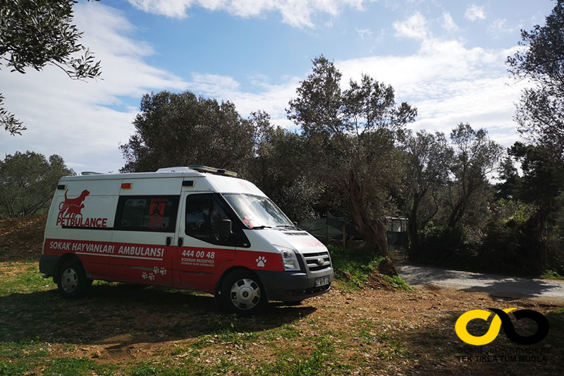 Bodrum Belediyesi Sokak Hayvanları Ambulansı (Petbulance)