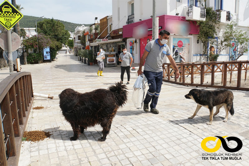 Bodrum haberleri; Bodrum haber 1