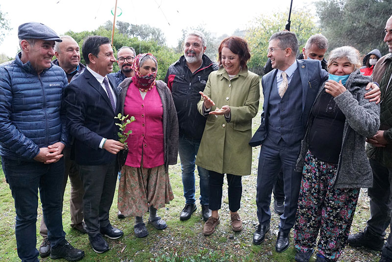 Yanan bölgelere keçiboynuzu tohumu 2