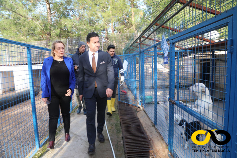 Torba Temporary Animal Care and Rehabilitation Center