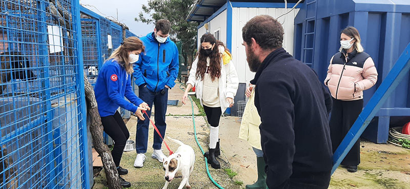 Tatlıtuğ'lar barınakta ve belediyede ziyarette bulundu 2