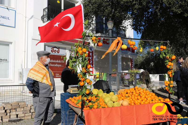 Bodrum haberleri; Bodrum haber 1