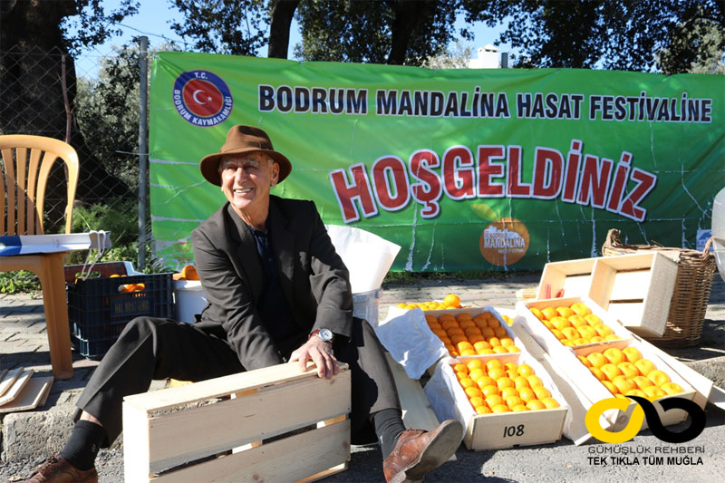 15. Bodrum Mandalina Hasat Festivali 2