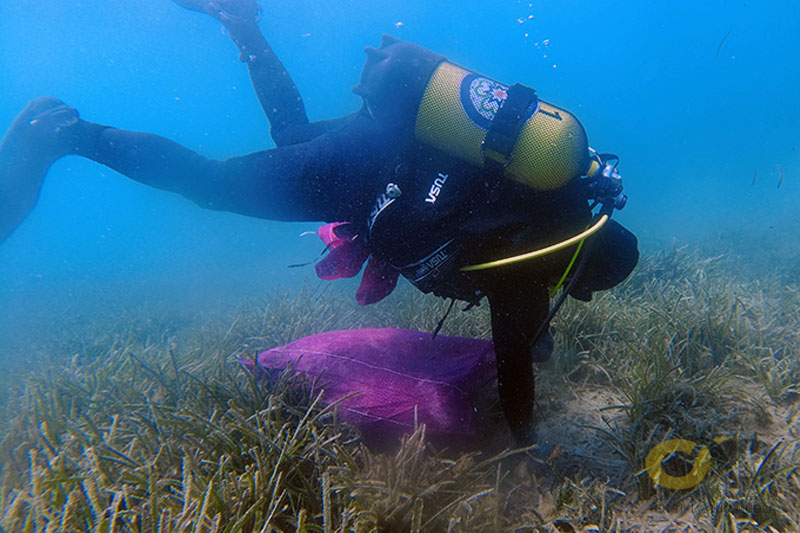 Bodrum haberleri; Bodrum haber 1