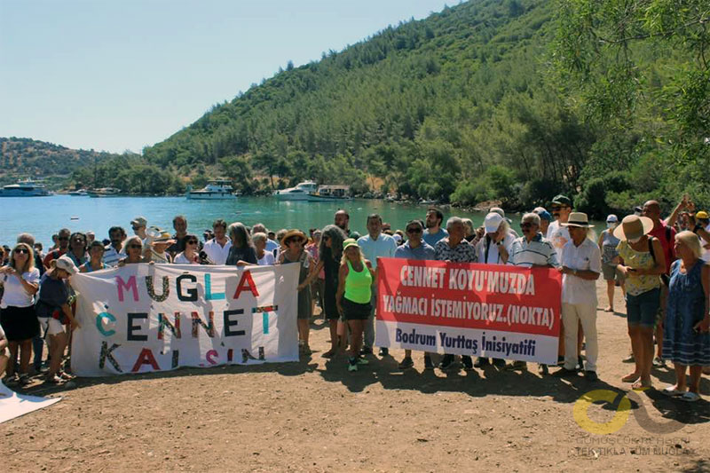 Action at Cennet Bay