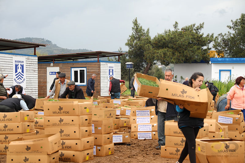 Bodrum haberleri; Bodrum haber 1