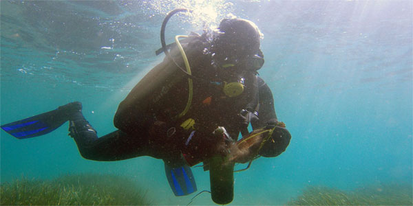 Bodrum Haberleri 100