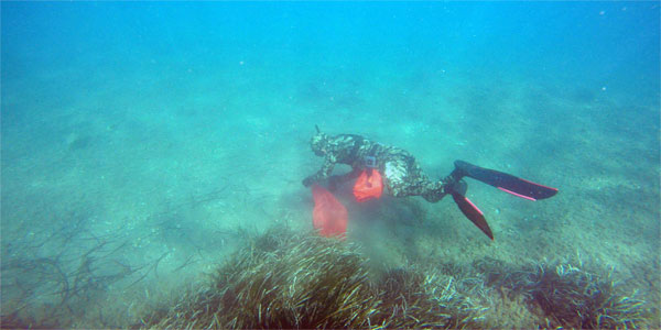 Bodrum haberleri 117