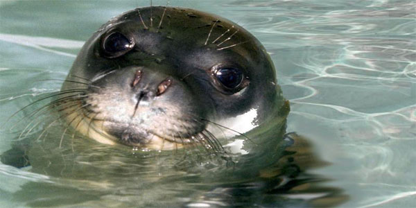 Bodrum Haberleri 133