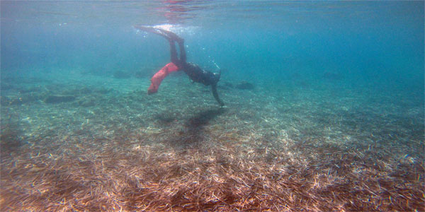 Bodrum Haberleri 142