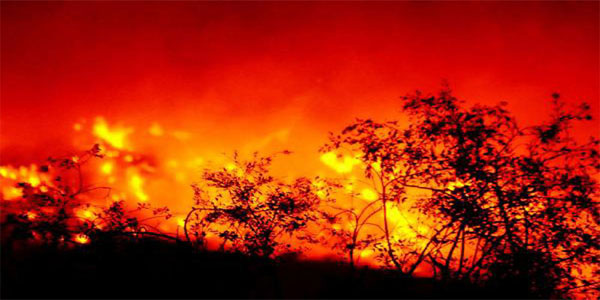 Bodrum Haberleri 176