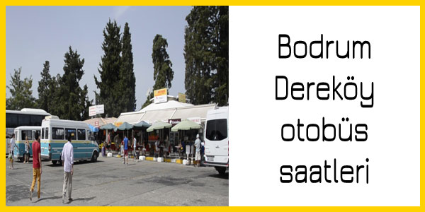 Bodrum, Dereköy dolmuş saatleri